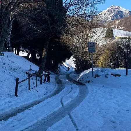 Paradise Barzio